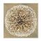 Stupell Industries Abstract Dandelion Flower Full Bloom Brown White Wood Wall Plaque
